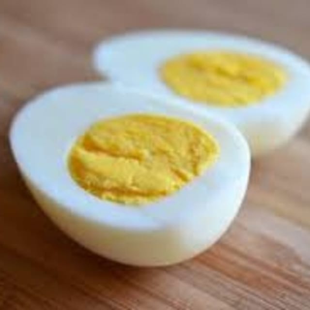 EGG.